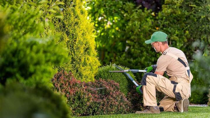 Création d'espace vert Seine-et-Marne